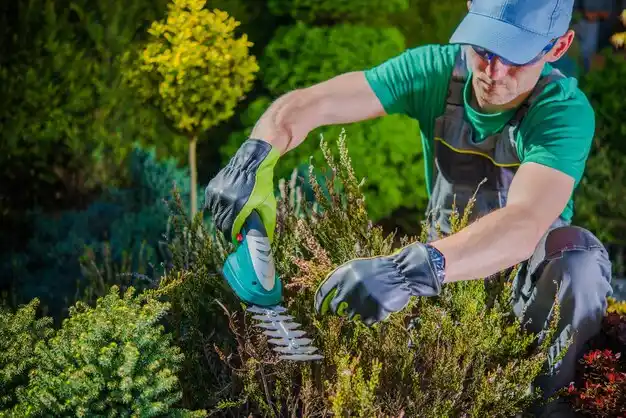 landscaping services Braymer
